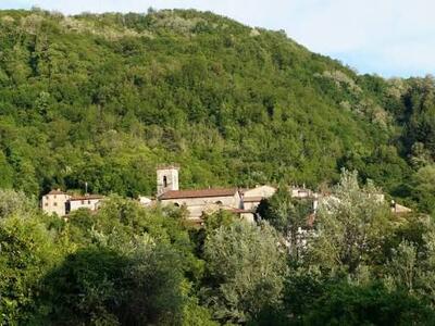A San Romano arriva la prima edizione della Festa della Patata