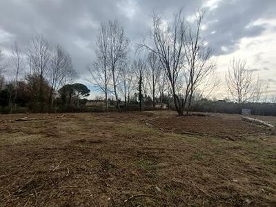 Nuovi alberi e nuove aree di forestazione urbana ad Altopascio: al via la campagna nazionale Foresta Italia di Rete Clima