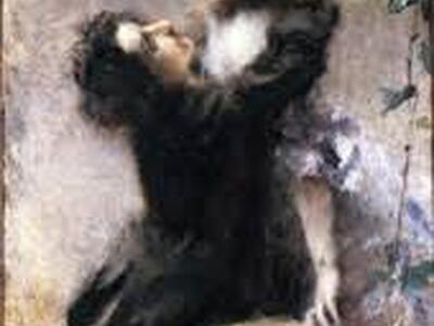 Confusi ribelli delusi...