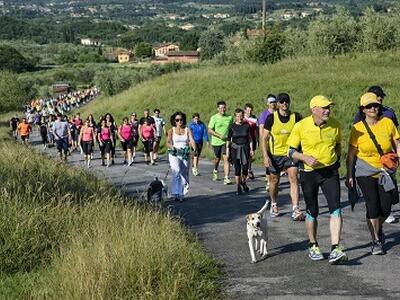 Sport e solidarietà: Porcari inaugura il percorso verso il Giro con la marcia 'Insieme si vince'