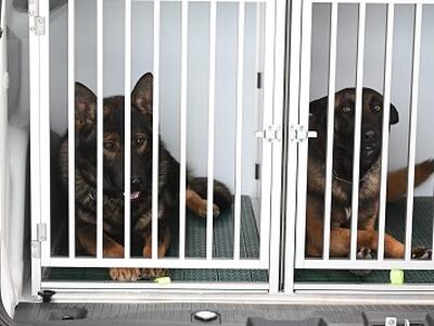 Il sindaco Pardini inaugura i due nuovi furgoni per il trasporto del Nucleo cinofilo della Polizia Locale