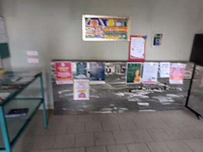 "Gli uffici e gli edifici pubblici devono rimanere liberi dalla propaganda politica nel rispetto del pensiero di tutti i cittadini"