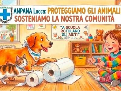 Dalla lezione in classe alla solidarietà: nasce il progetto di Anpana Lucca 'A scuola rotolano gli aiuti'