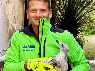 Musica e solidarietà al Real Collegio: concerto de 'I Maricomio' a sostegno di Anpana Lucca