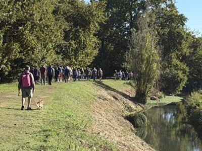Camminata sul Rogio, successo per la prima uscita sul nuovo percorso ciclopedonale: quasi cento partecipanti