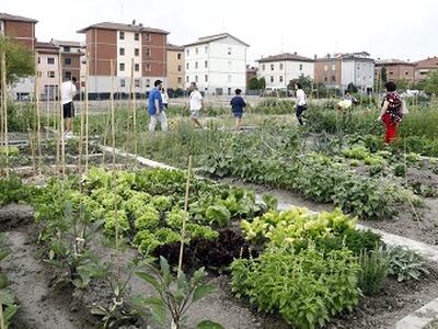 La cura dell’orto, ma anche no…