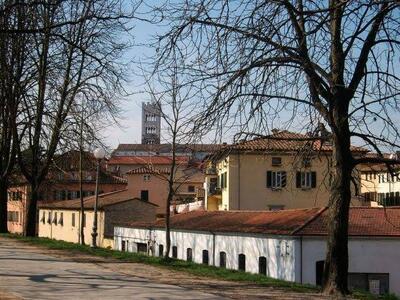 Finestre