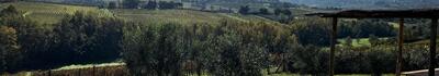 Casale/cascina in vendita a Scandicci nel cuore della campagna toscana