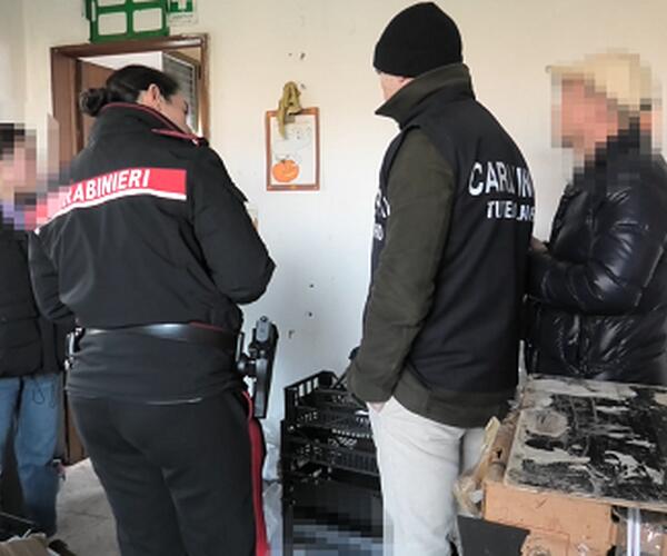 Trovati lavoratori clandestini in un laboratorio cinese di pelli: due arresti