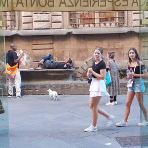 3a4b399b-6390-49b3-a268-08866c89a941