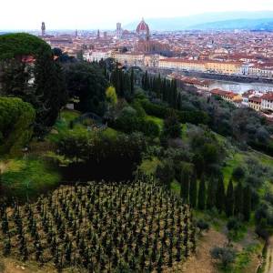 01 - Come sarà Vigna Michelangelo nel 2027