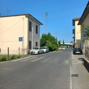 Strisce Bucaneve