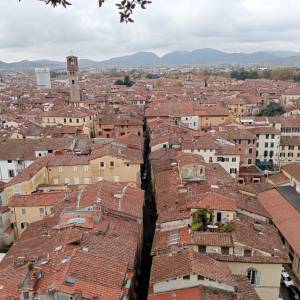 IMG20251101121627_copy_1346x1013