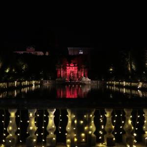 d675b211-28f6-4f8a-93df-fdbafbff39c0