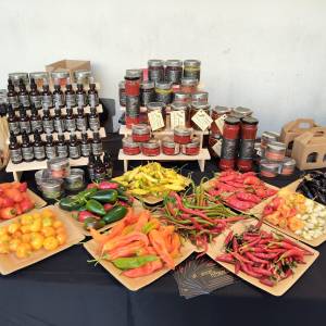 3832a9f3-b3a0-48b9-8307-24195b5cee2b