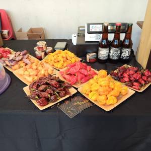 d609f3e3-79d1-423f-950d-11ebf5ed0145