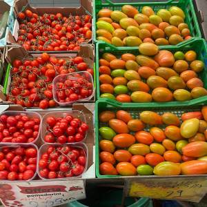 01aeb00e-93fa-485a-aec2-b4ab06176926