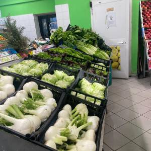 06e8b991-97b2-4c9b-b39a-94b3a26d89bb