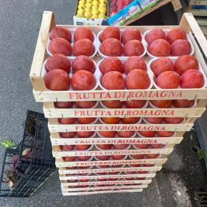 3acfaf7f-be8e-4c3a-b80e-ab5fe2beb174