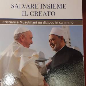 043e80a7-b6e9-435d-953b-be384c7a0c7d