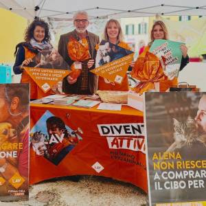 17c8b911-9936-4aab-8a4d-adb1a40fcb38