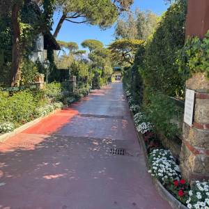 679776fd-0eef-434e-a385-35a3b8923644