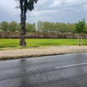 9a8404f1-6ad3-4fe1-82df-a4dfaabbf4a1