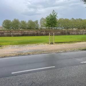 b5a93953-40cb-4a5e-977d-a7a7e6d12b67