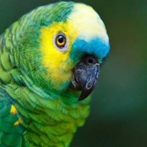 789349ff-9772-4dc4-8cec-3fe5966f3345