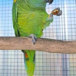 9ceafff2-e82e-4834-afab-f46eb90eb284