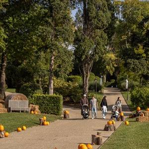 Caccia al tesoro di  Halloween_Villa Reale di Marlia (12)