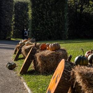 Caccia al tesoro di  Halloween_Villa Reale di Marlia (43)