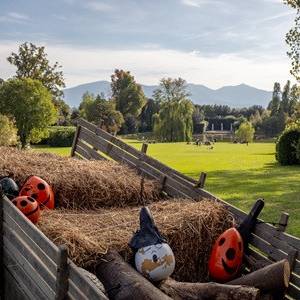Caccia al tesoro di  Halloween_Villa Reale di Marlia (9)