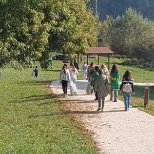 Immagine 2026-10-17 134153